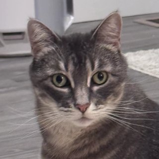 Mia